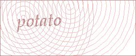 bot captcha