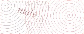 bot captcha