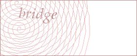bot captcha