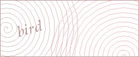bot captcha