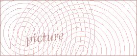 bot captcha