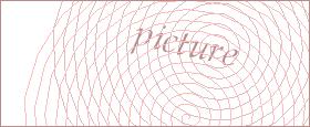 bot captcha