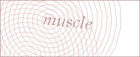 bot captcha