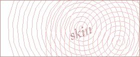 bot captcha