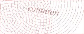 bot captcha