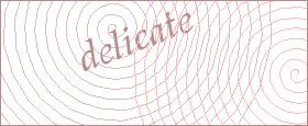 bot captcha