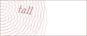 bot captcha