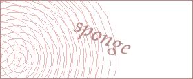bot captcha